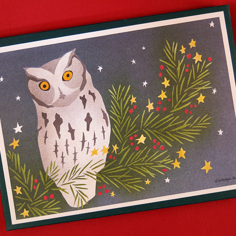 Crane Creek Screech Owl Holiday Notecard Set from The Fat Finch Boutique for Bird Lovers