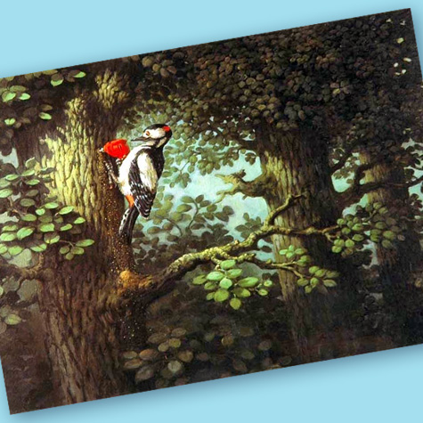The Fat Finch Boutique for Bird Lovers | Michael Sowa Cards 