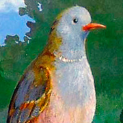 Rudi Hurzlmeier Bird Notecard | Fat Finch Boutique for Bird Lovers