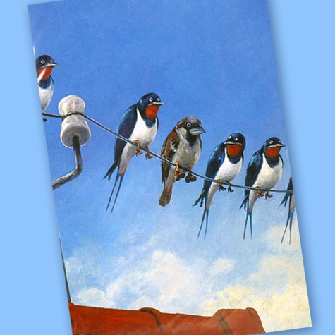 The Fat Finch Boutique for Bird Lovers | Hurzlmeier Cards 