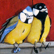 Rudi Hurzlmeier Bird Notecard | Fat Finch Boutique for Bird Lovers