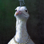 Michael Sowa Postcard, Bird Wearing Pearls | Fat Finch Boutique for Bird Lovers