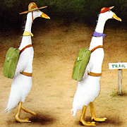 The Fat Finch Boutique for Bird Lovers | Will Bullas Notecard, The Back Quackers