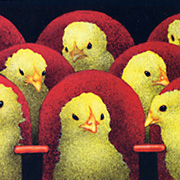 The Fat Finch Boutique for Bird Lovers | Will Bullas Notecard, Peep Show