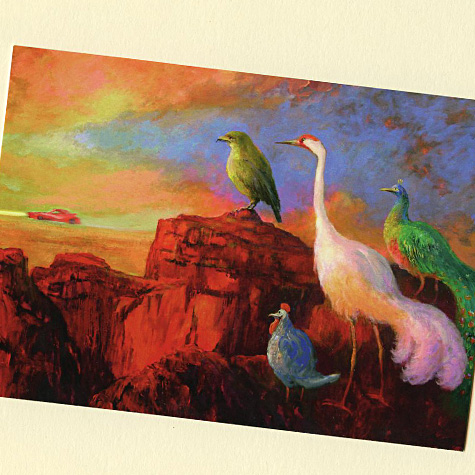 Drive In Postcard by Rudi Hurzlmeier from The Fat Finch Boutique for Bird Lovers
