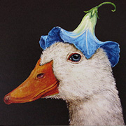 Vicki Sawyer Cardinals Notecard from The Fat Finch Boutique for Bird Lovers