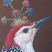 Vicki Sawyer Cardinals Notecard from The Fat Finch Boutique for Bird Lovers