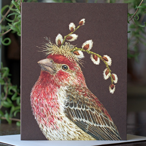 Howard the Cassin's Finch Note Card by Vicki Sawyer by Vicki Sawyer from The Fat Finch Boutique for Bird Lovers