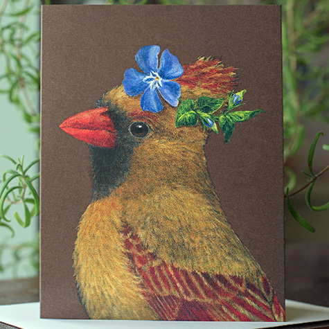 Angie the Cardinal Note Card by Vicki Sawyer by Vicki Sawyer from The Fat Finch Boutique for Bird Lovers