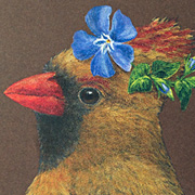 Vicki Sawyer Cardinals Notecard from The Fat Finch Boutique for Bird Lovers