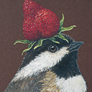 Vicki Sawyer Cardinals Notecard from The Fat Finch Boutique for Bird Lovers