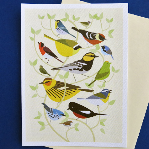 New World Warblers Notecard by Scott Partridge from The Fat Finch Boutique for Bird Lovers