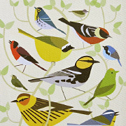 Bird Notecard | Fat Finch Boutique for Bird Lovers