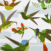 Bird Notecard | Fat Finch Boutique for Bird Lovers