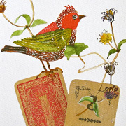 Bird Notecard | Fat Finch Boutique for Bird Lovers