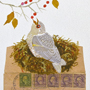 Bird Notecard | Fat Finch Boutique for Bird Lovers