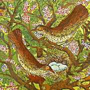 Bird Notecard | Fat Finch Boutique for Bird Lovers