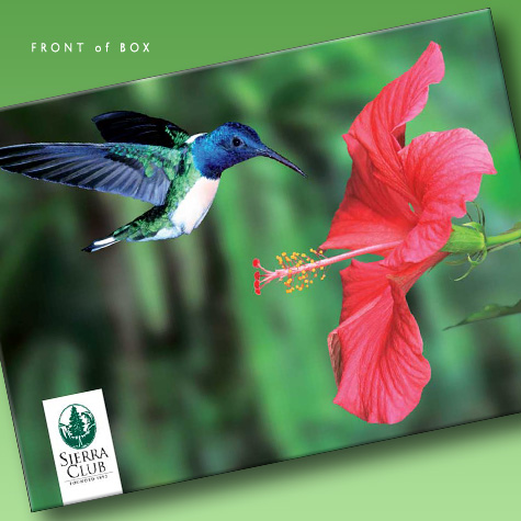 The Fat Finch Boutique for Bird Lovers | Sierra Club Hummingbird Note Cards 