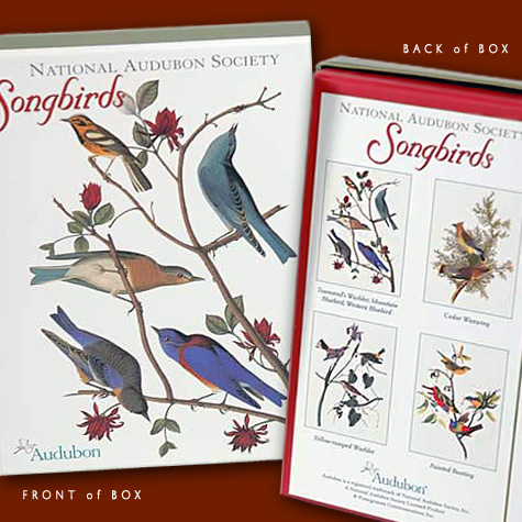 The Fat Finch Boutique for Bird Lovers | National Audubon Society Song Birds Note Cards 