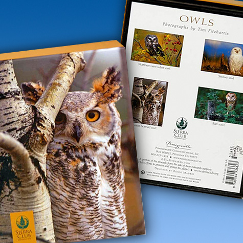 The Fat Finch Boutique for Bird Lovers | Sierra Club Owl Notecard Assortment