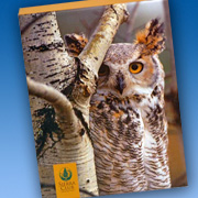 Bird Notecard | Fat Finch Boutique for Bird Lovers