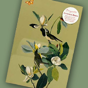 Audubon Bird Notecard | Fat Finch Boutique for Bird Lovers
