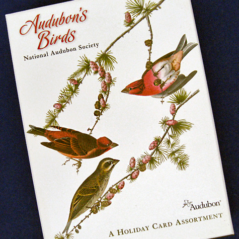 The Fat Finch Boutique for Bird Lovers | National Audubon Society Birds Holiday Card Assortment 
