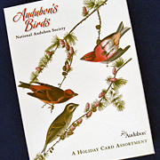 Christmas Card from The Fat Finch Boutique for Bird Lovers