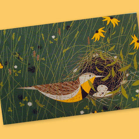 The Fat Finch Boutique for Bird Lovers | Charley Harper Cards 