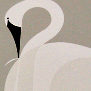 Bird Notecard | Fat Finch Boutique for Bird Lovers