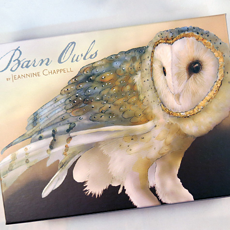 The Fat Finch Boutique for Bird Lovers | Jeannine Chappell Barn Owls Boxed Note Card Set