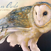 Jeannine Chappel Barn Owl Notecard Set | Fat Finch Boutique for Bird Lovers