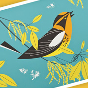 Blackburnian Warbler Charley Harper Notecard Set