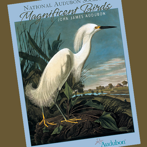 Audubon Magnificent Birds Notecard Set from The Fat Finch Boutique for Bird Lovers