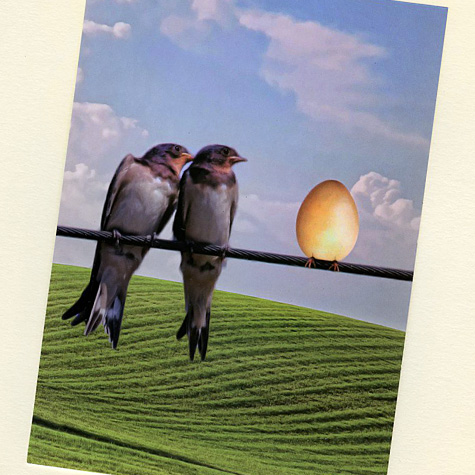 Swallows and Egg Single Postcard by Philipp Sidler from The Fat Finch Boutique for Bird Lovers