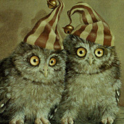 Owlets Wearing Nightcaps Cards by Suzan Visser from The Fat Finch Boutique for Bird Lovers