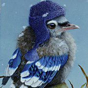 Baby Jay Wearing Winter Hat Cards by Suzan Visser from The Fat Finch Boutique for Bird Lovers