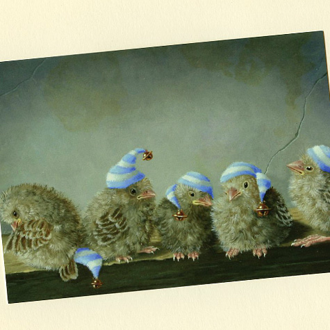 Baby Birds Wearing Stocking Caps Postcard from The Fat Finch Boutique for Bird Lovers