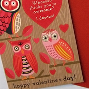 Bird Valentine's Day Notecards | Fat Finch Boutique for Bird Lovers