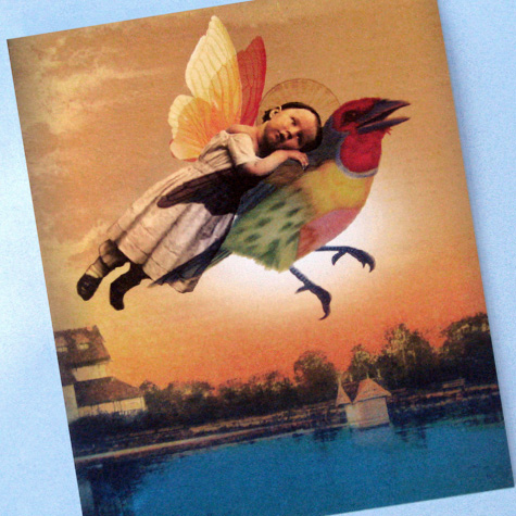 The Fat Finch Boutique for Bird Lovers | Lovebird Notecard by Catrin Welz-Stein