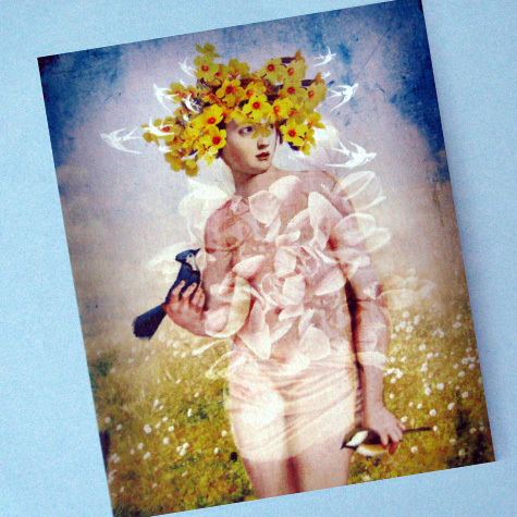The Fat Finch Boutique for Bird Lovers | Spring Notecard by Catrin Welz-Stein