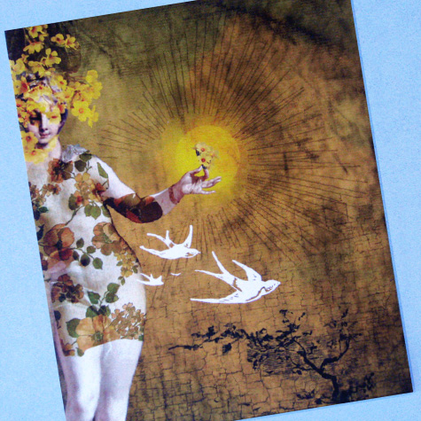The Fat Finch Boutique for Bird Lovers | The Sun Notecard by Catrin Welz-Stein