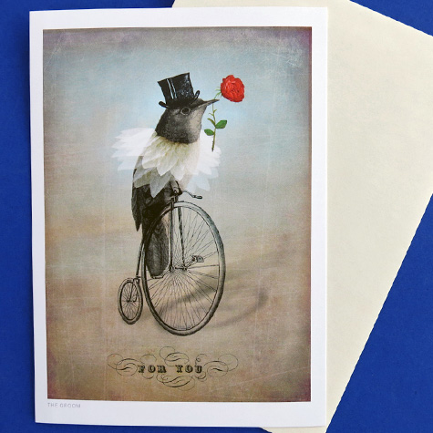 The Groom Notecard by Catrin Welz-Stein from The Fat Finch Boutique for Bird Lovers