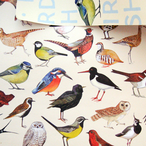 The Fat Finch Boutique for Bird Lovers | Emma Bridgewater Birds Gift Wrapping Paper 