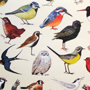 Emma Bridgewater Birds Gift Wrapping Paper from The Fat Finch Boutique for Bird Lovers