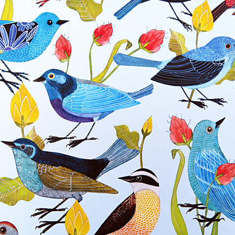 The Fat Finch Boutique for Bird Lovers | Birds Gift Wrapping Paper from Geninne Zlatkis