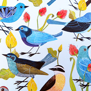 Geninne Zlatkis Wrapping Paper from The Fat Finch Boutique for Bird Lovers