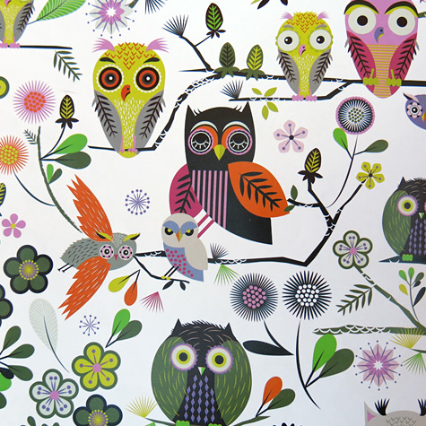 The Fat Finch Boutique for Bird Lovers | Owls Gift Wrapping Paper