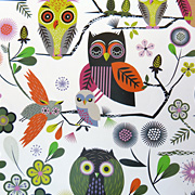 Owls Gift Wrapping Paper from The Fat Finch Boutique for Bird Lovers
