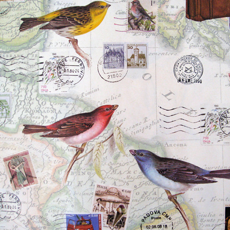 The Fat Finch Boutique for Bird Lovers | Tassotti Birds Gift Wrapping Paper 